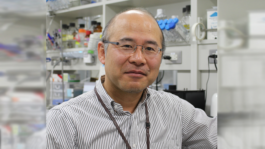 ������� ��